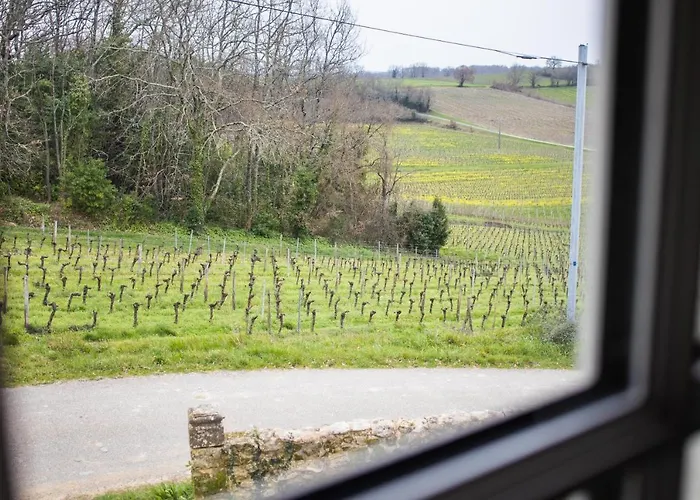 Chateau Haut-clarise Belvès-de-Castillon